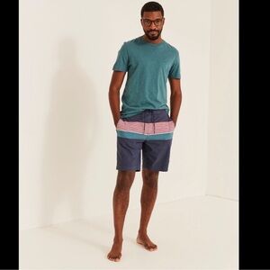 FATFACE Camber Swim Shorts in Blue/Red Stripes